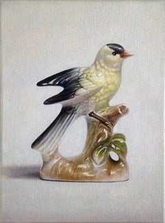 American Finch