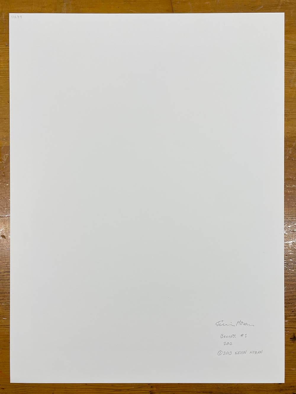 Bennett #1 , aus der Serie, Chattel - Ziegenporträt, Bauerntier im Angebot 2