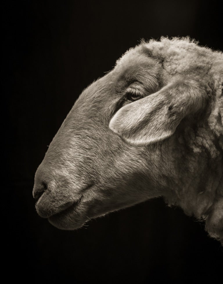 Kevin Horan Black and White Photograph – Floyd #1