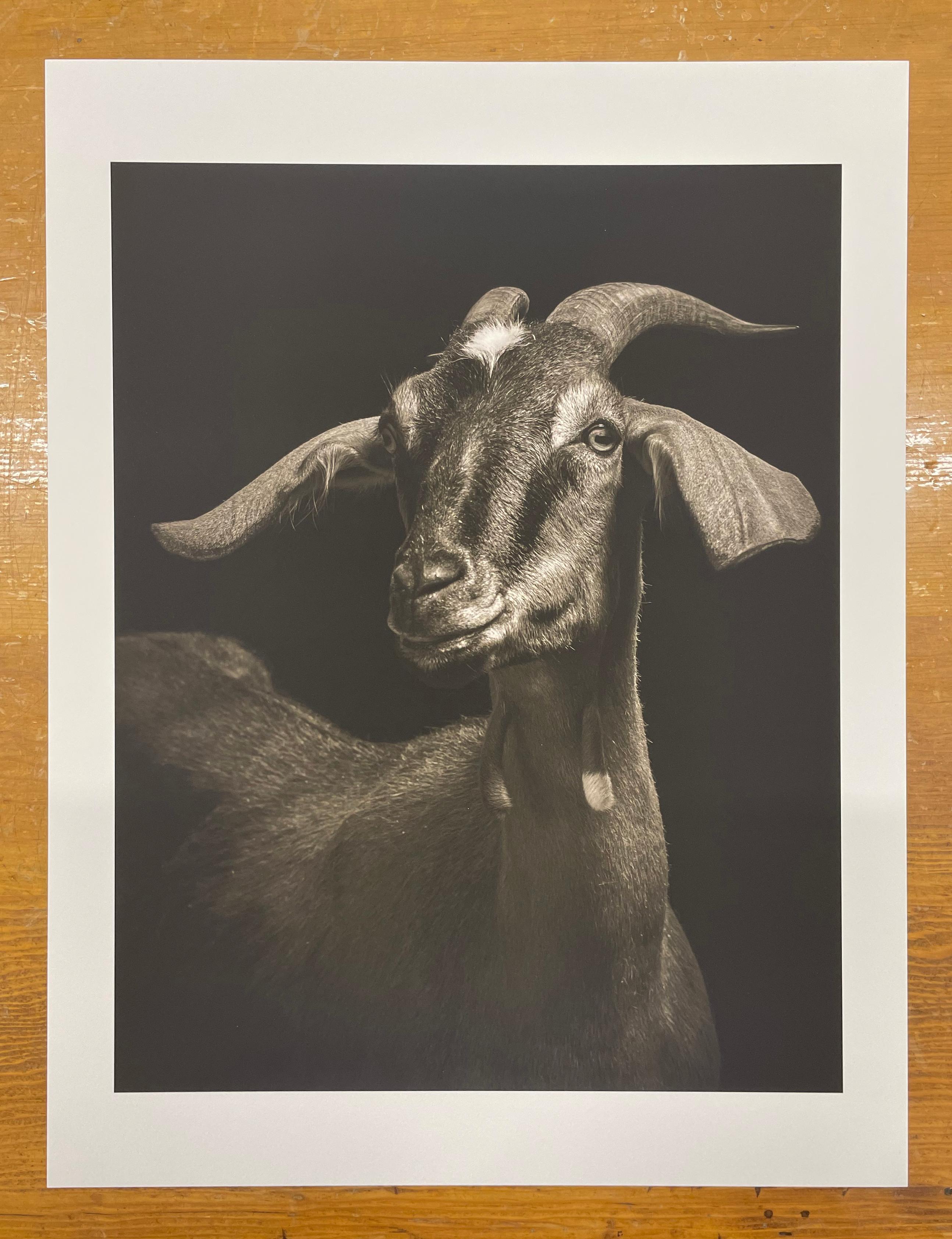 Lela #1 von Kevin Horan, 2015, Archivalischer Pigmentdruck, Fotografie im Angebot 1