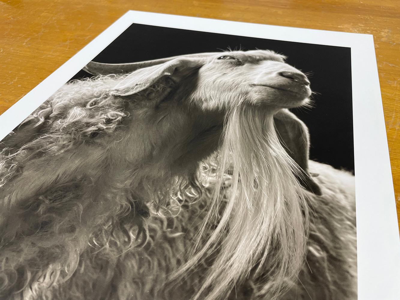 Edition de 15
Impression pigmentaire d'archives, 17 x 13 pouces.
Signé, titré, daté et numéroté au crayon au verso de l'épreuve par Kevin Horan


Kevin Horan est un photographe basé à Langley, dans l'État de Washington, aux États-Unis. Il travaille