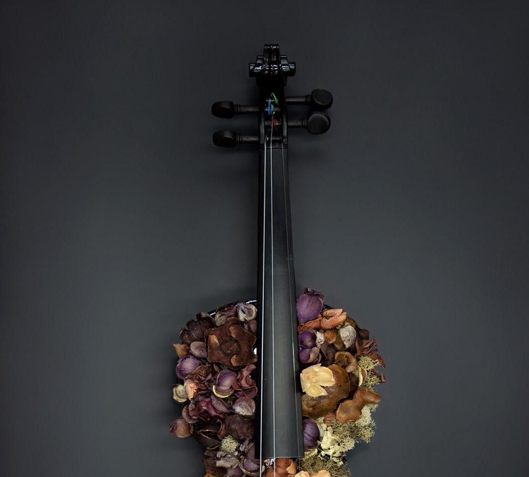 Yin and Yang. Color Photographs of a Assembled Violins Body Sculpture For Sale 3
