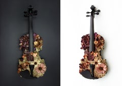 Yin und Yang. Farbfotografien einer zusammengesetzten Violine-Körperskulptur