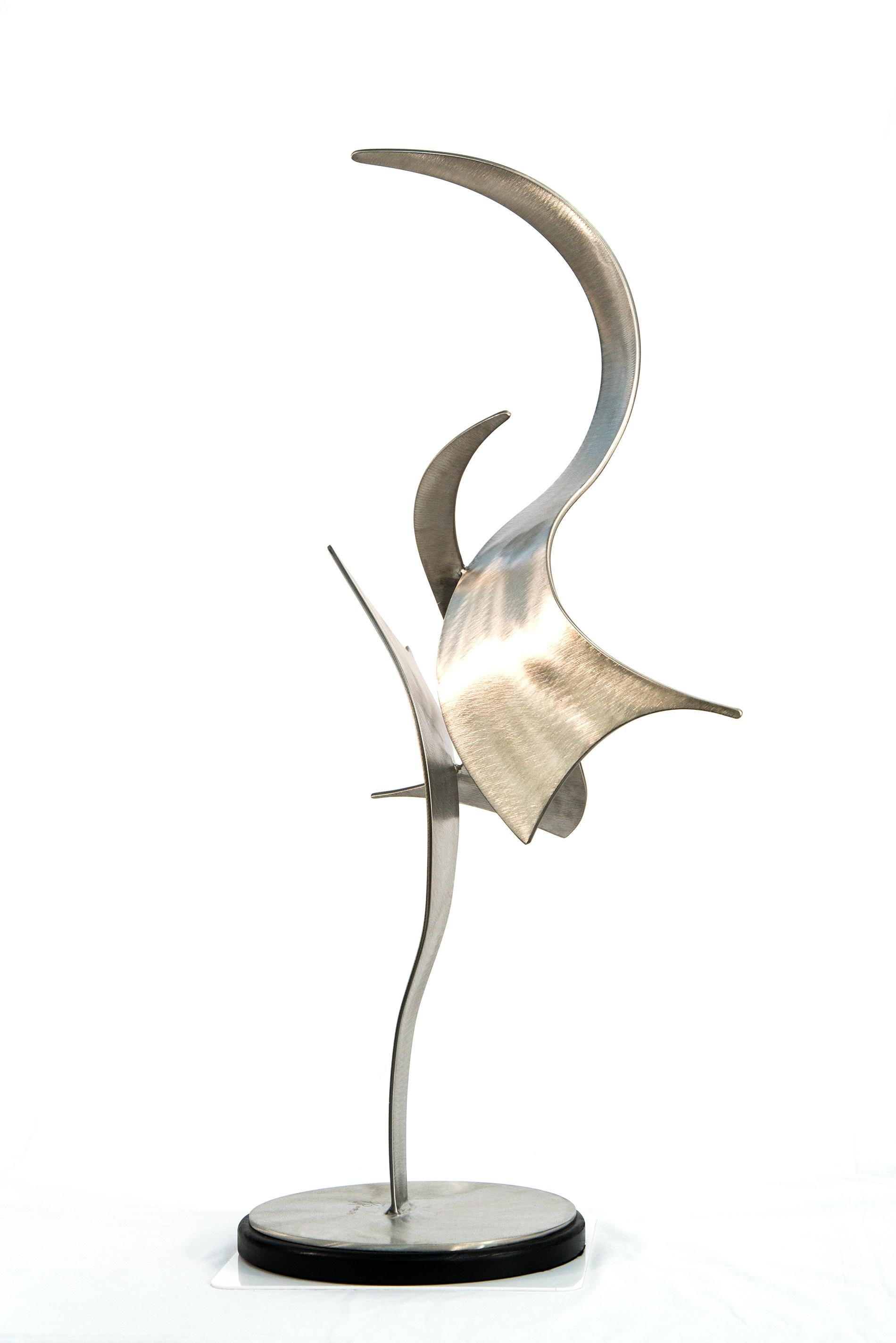 Elegant Movements 194 - contemporary, abstract, forged stainless steel sculpture - Sculpture by Kevin Robb