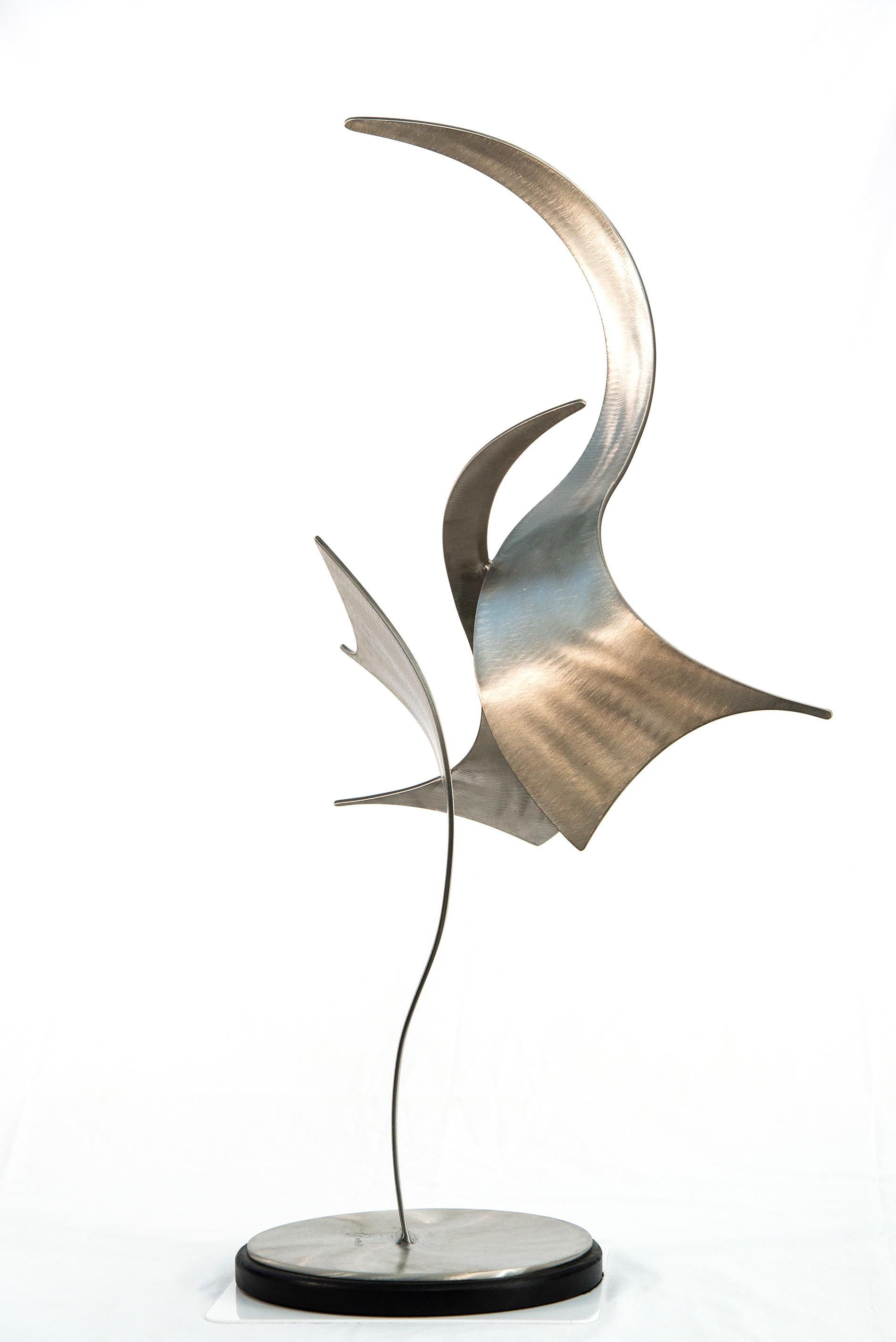 Kevin Robb Elegant Movements 194 contemporary, abstract,