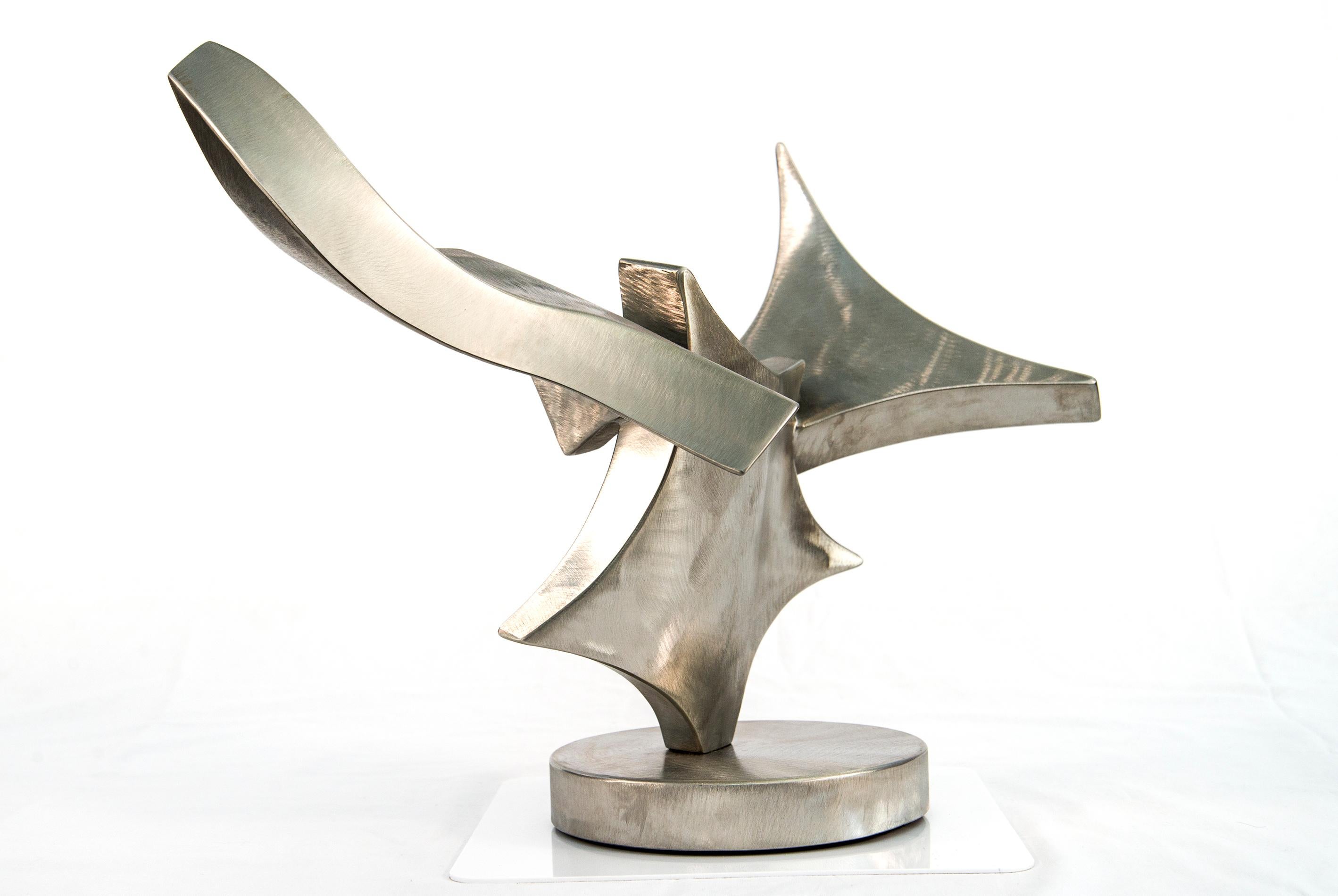 Rejoindre les forces - Formes allongées et élégantes en acier inoxydable - Contemporain Sculpture par Kevin Robb