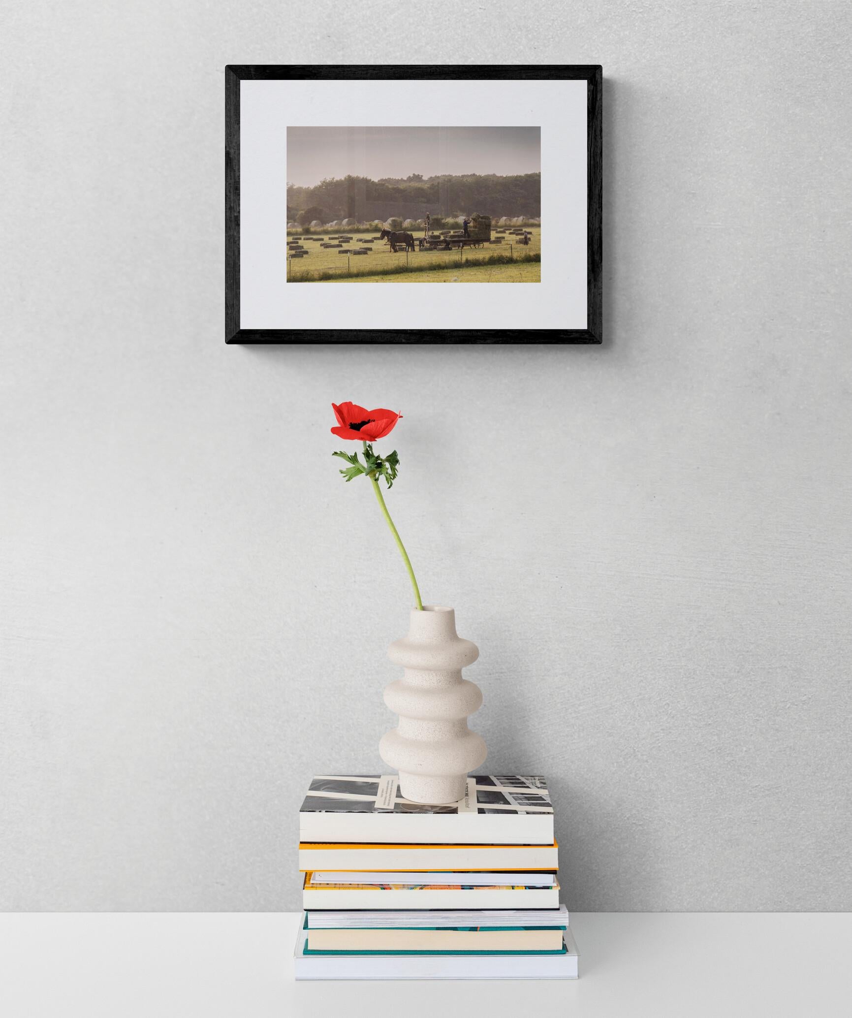 Lavoro duro (Americana, Midwest, Cavallo, Campo) - Photograph di Kevin Vivers