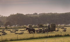 Travail acharné américain, Midwest, cheval, terrain)