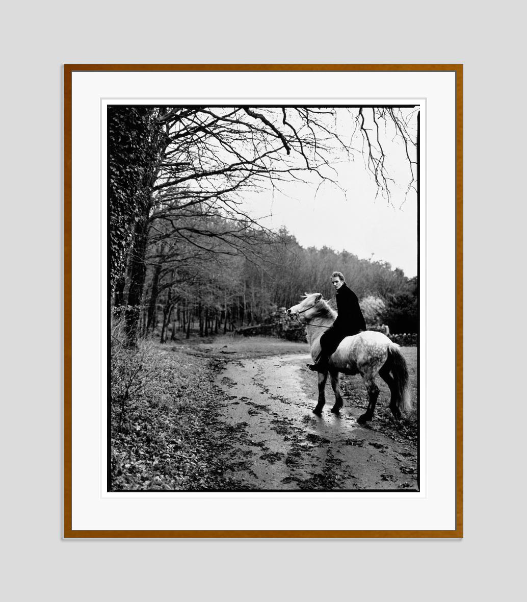  Sting by Kevin Westenberg Signed Limited Edition For Sale 1