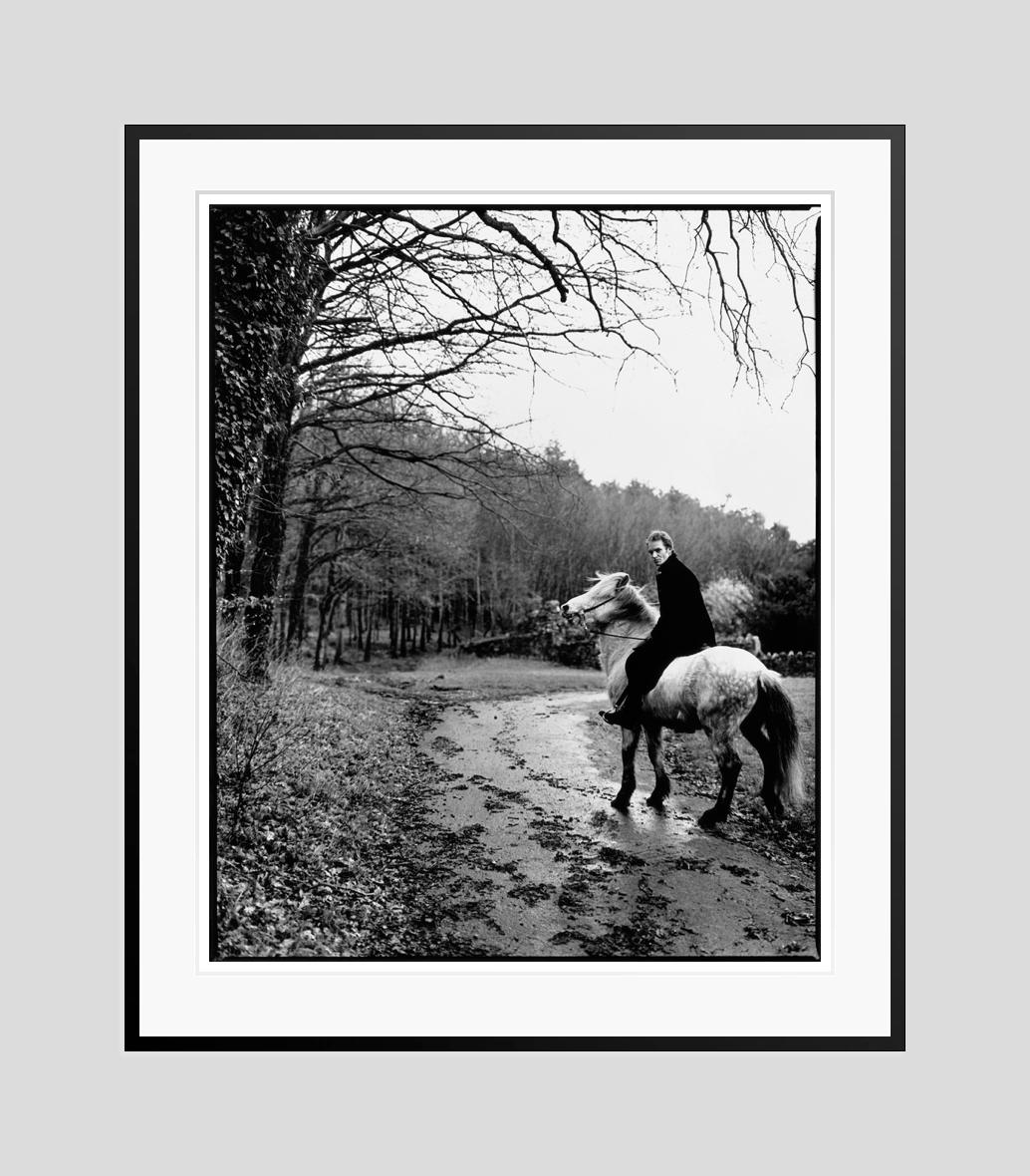  Sting by Kevin Westenberg Signed Limited Edition For Sale 3