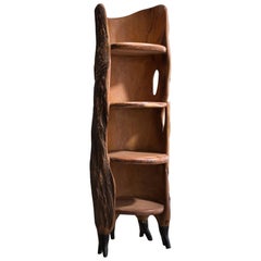 Sub-Saharan African Case Pieces and Storage Cabinets
