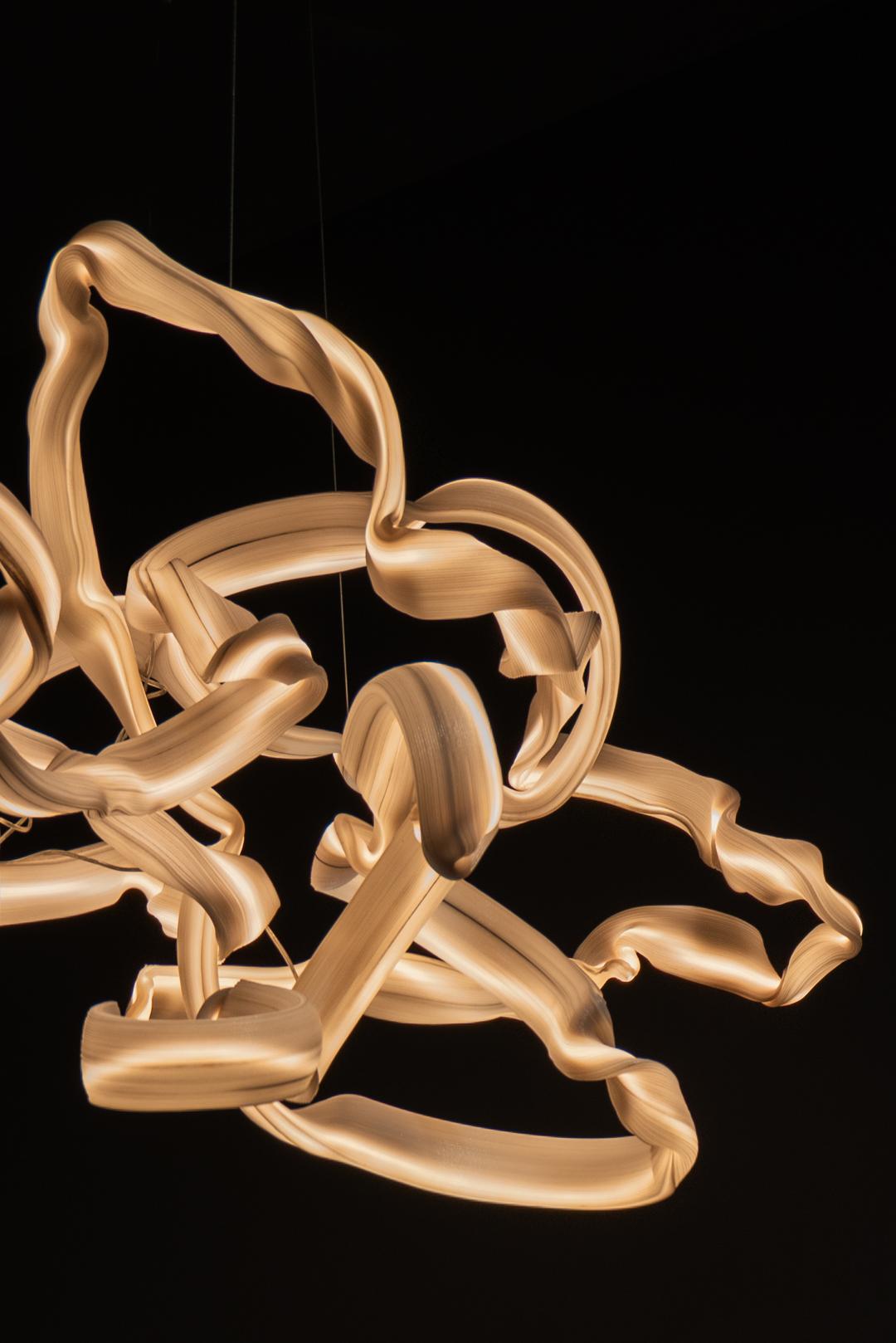Khipu Chandelier in 3D-Printed PETG, Inspired by Inca Heritage, by Zihan Zhao (21. Jahrhundert und zeitgenössisch) im Angebot