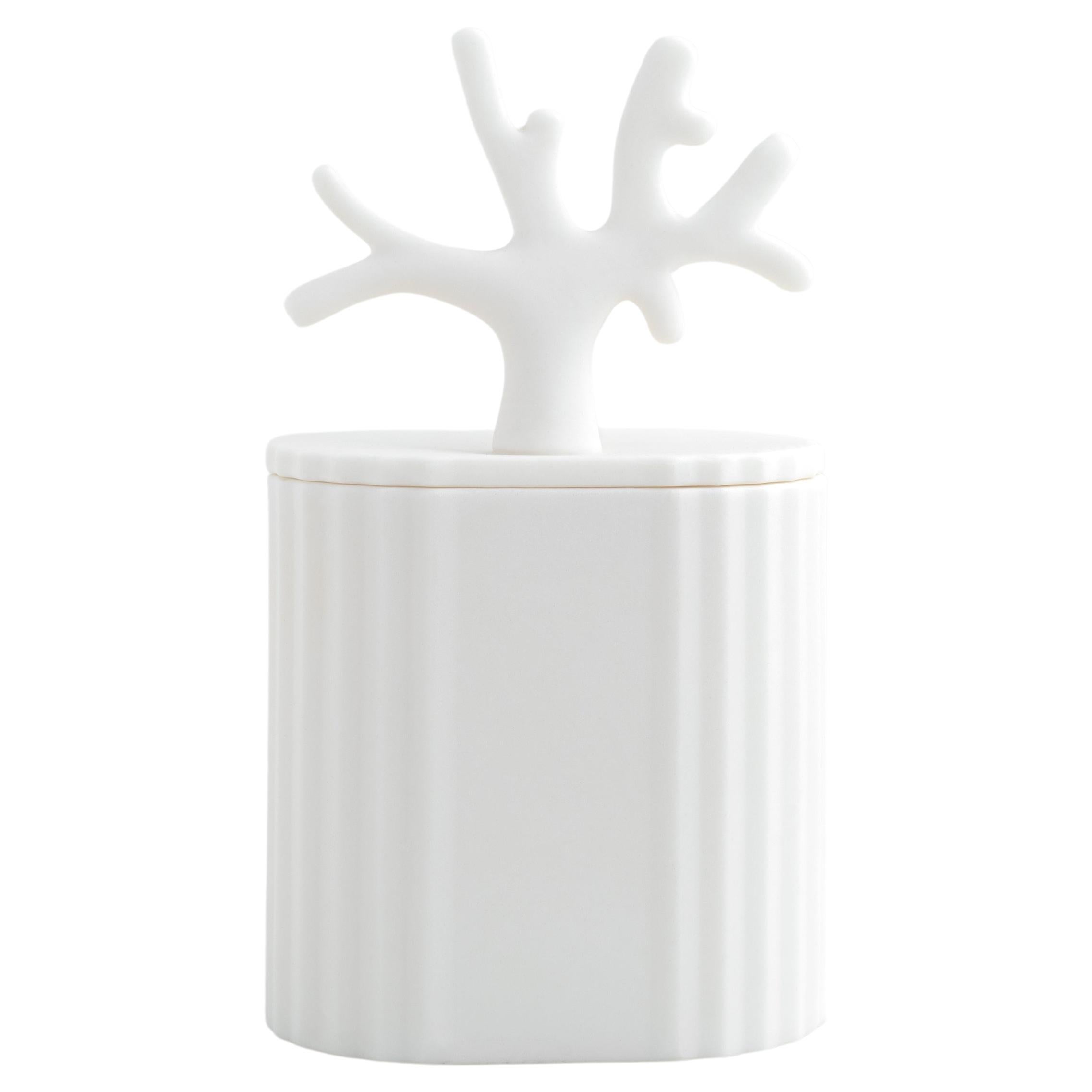 Ki, Scented Candle in Parian Porcelain Decorative Box, Design Award 2022