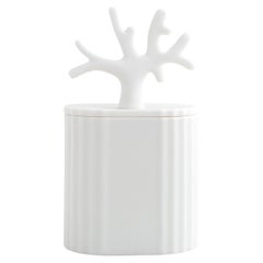 Ki, Scented Candle in Parian Porcelain Decorative Box, Design Award 2022