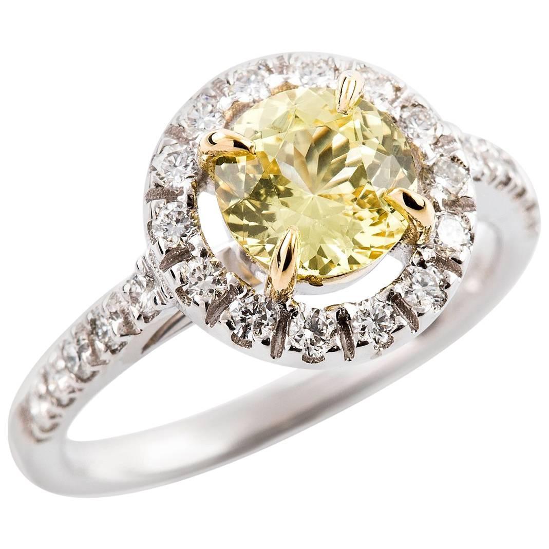 Round Cut Kian Design 1.33 Carat Yellow Sapphire Diamond 18 Carat Two-Tone Gold Ring