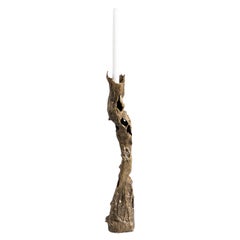 Kikar Candle Holder Large in Brass, Viya by Vikram Goyal