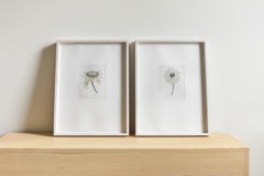 Escapades 8 -- Estampe, Gravure, Aquatinte, Fleur de Kiki Smith