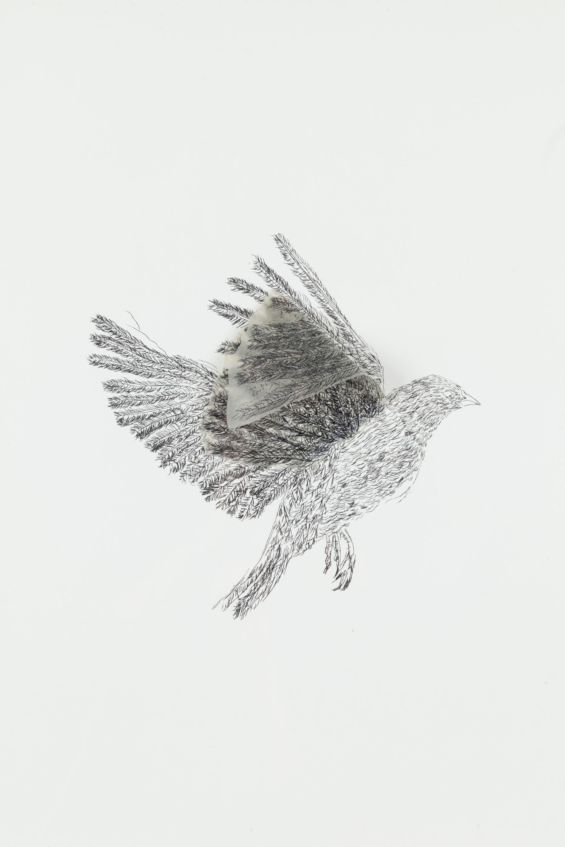 Flying Creatures: Bird - Contemporary Mixed Media Art by Kiki Smith