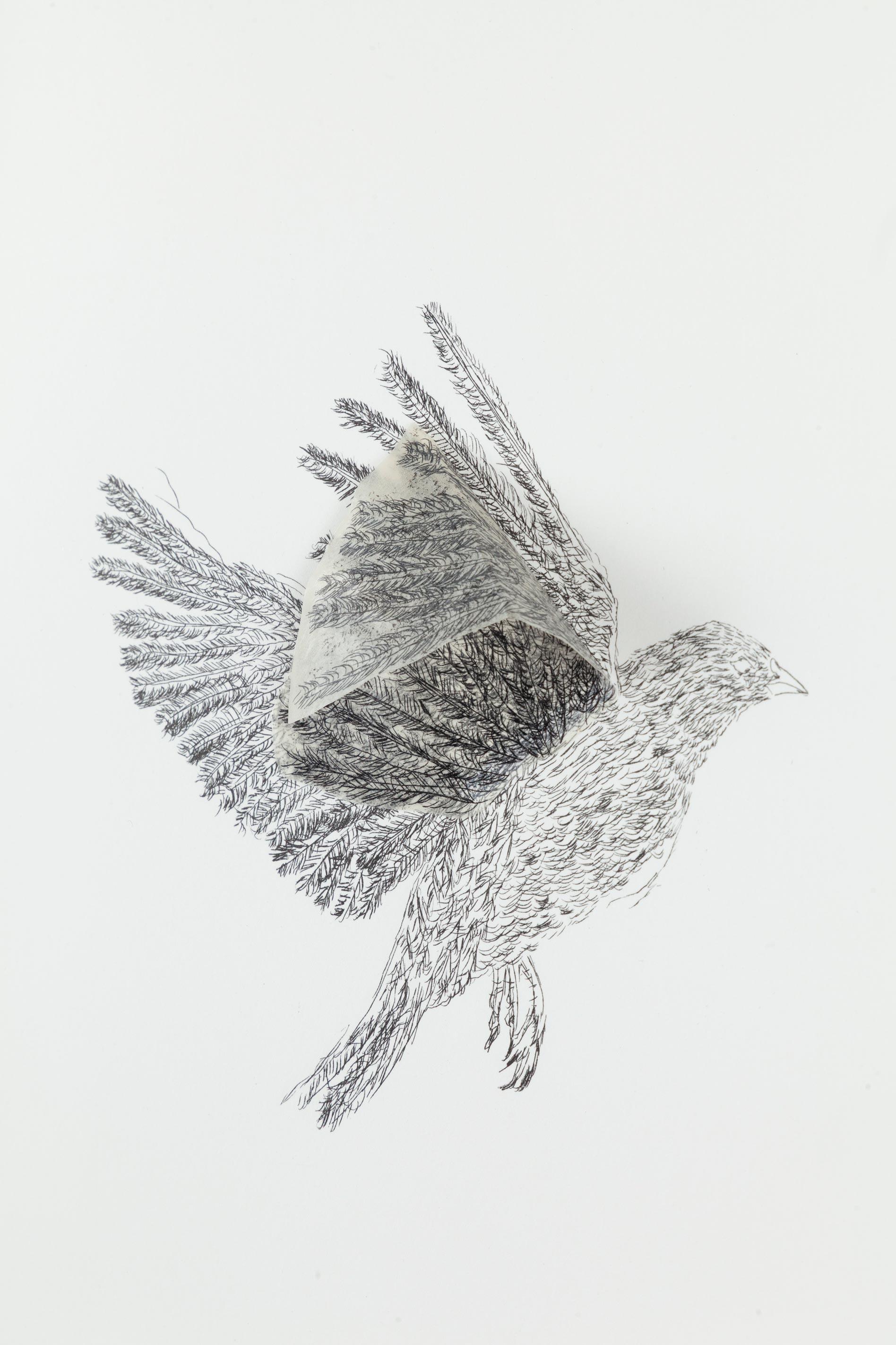 Flying Creatures: Bird For Sale 2