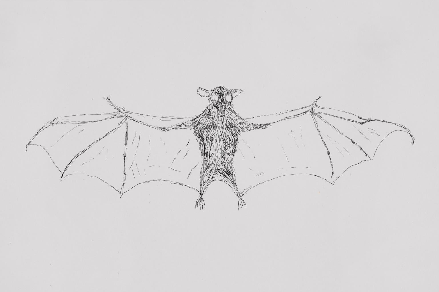 Kiki Smith Collage/Lithographie Verschiedene fliegende Kreationen „bat“ Signiert datiert im Angebot 1