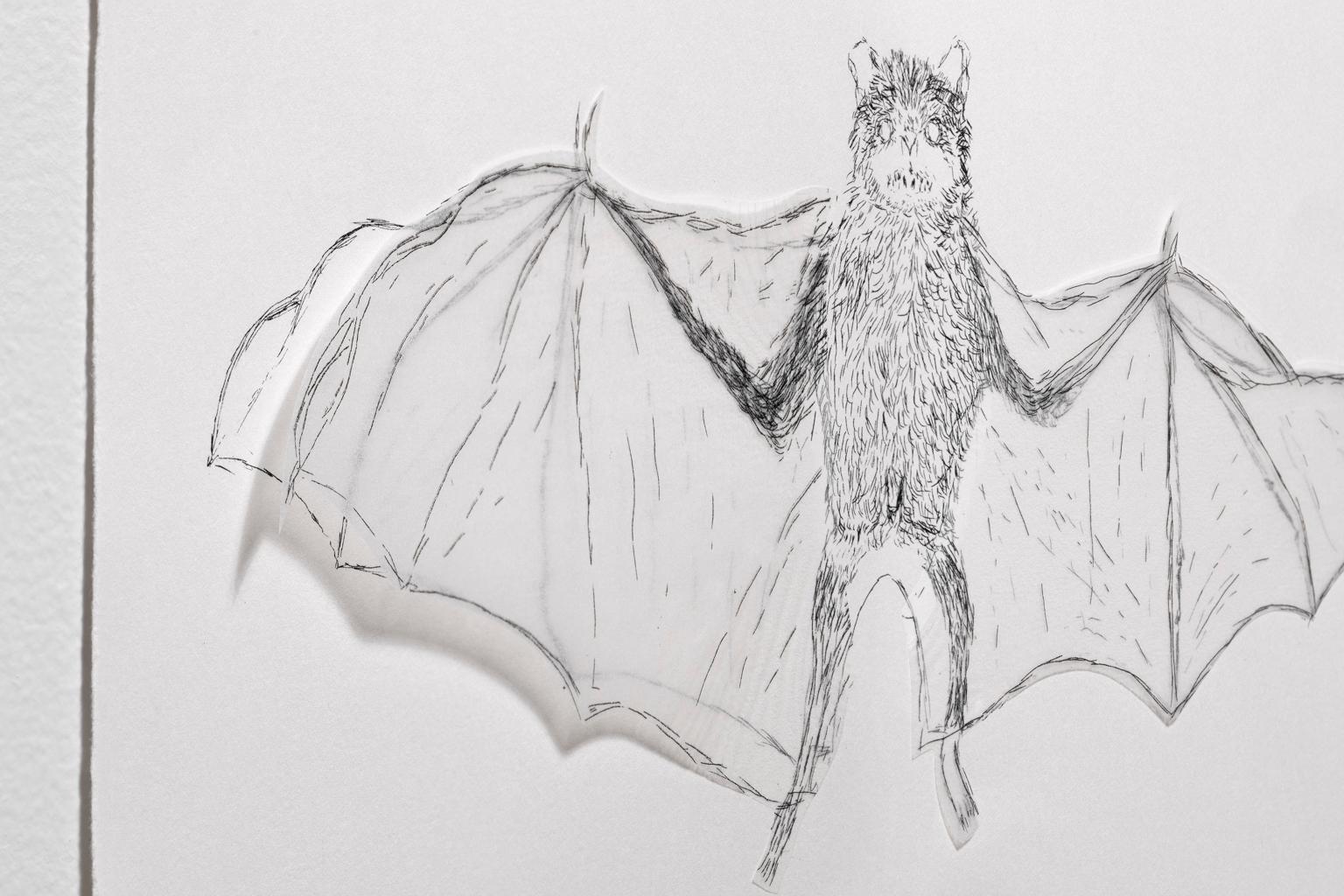 Kiki Smith Collage/Lithographie Verschiedene fliegende Kreationen „bat“ Signiert datiert im Angebot 6