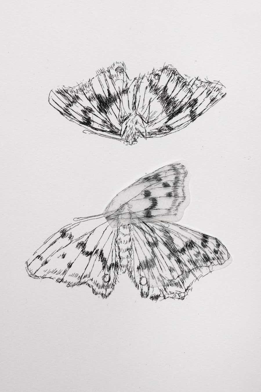 Kiki Smith Collage/Lithograph Various Flying Creatures "moth" Signed Dated