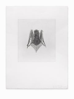 Kiki Smith Etching "Bat" Signed Dated