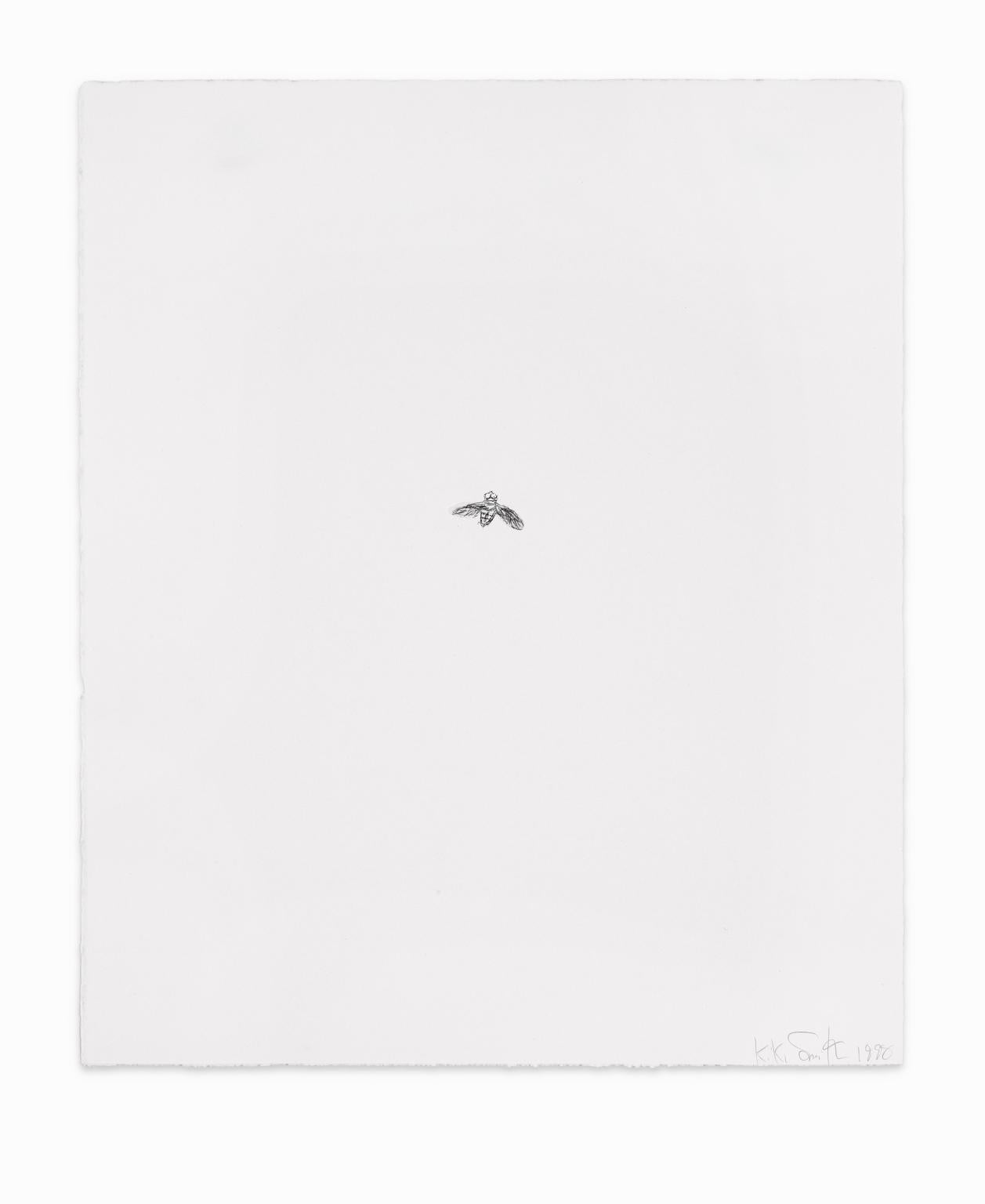 Kiki Smith Lithographie/Collage Various Flying Creatures „Fliegen“ Signiert datiert im Angebot 3
