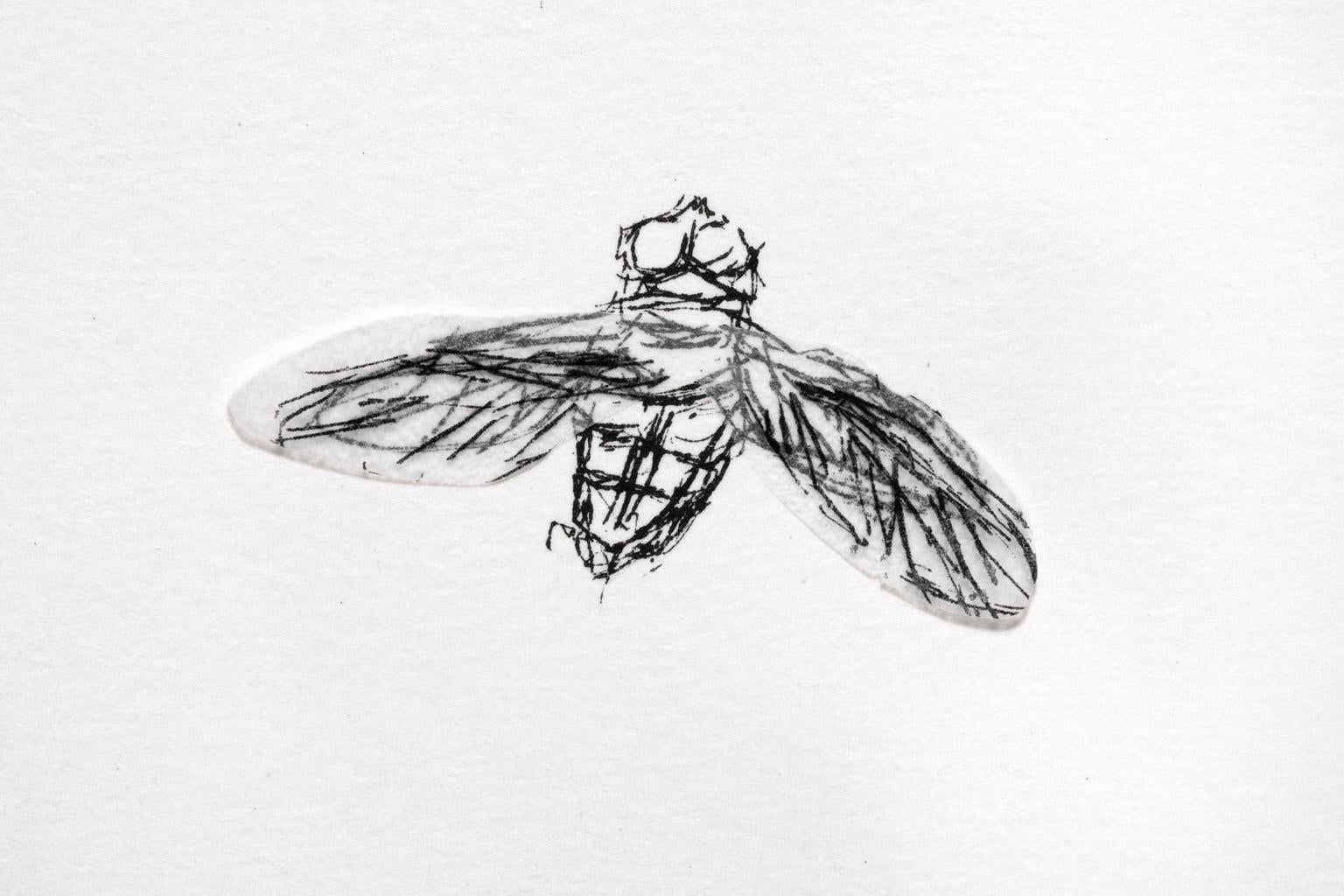 Une lithographie collage de sa série Various Flying Creatures de Kiki Smith intitulée : "bee". Smith a utilisé l'une de ses figures emblématiques d'animaux/insectes pour ce collage lithographique sur papier glassine et papier vélin, créant une