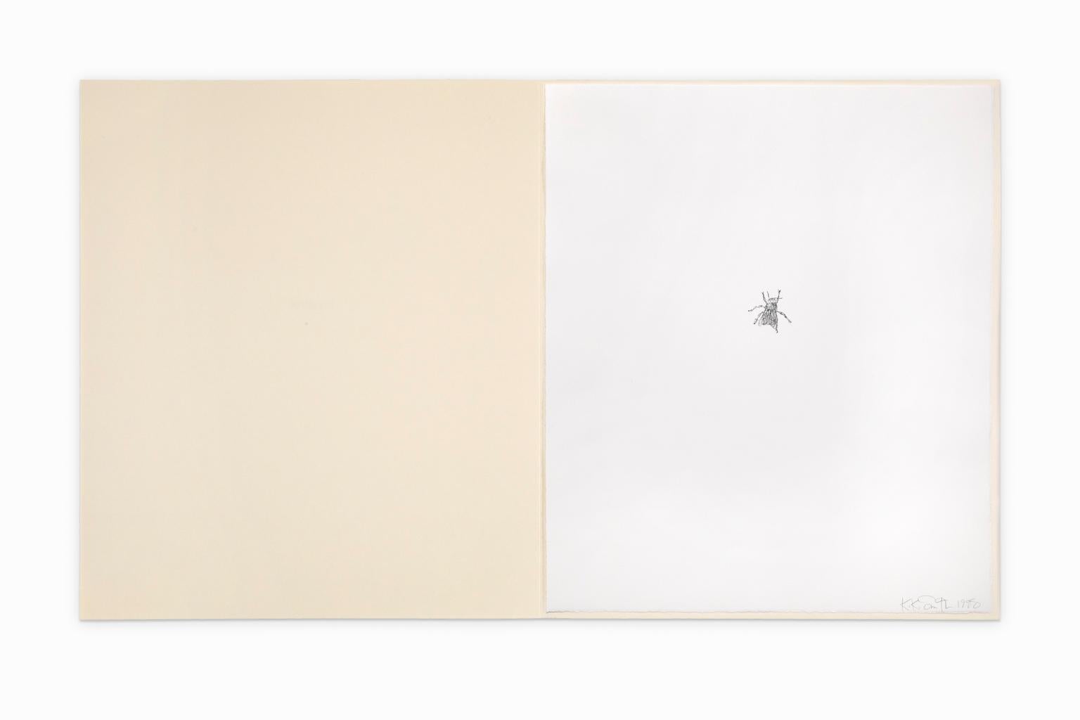 Kiki Smith Lithographie/Collage Various Flying Creatures „fly“ Signiert datiert im Angebot 2