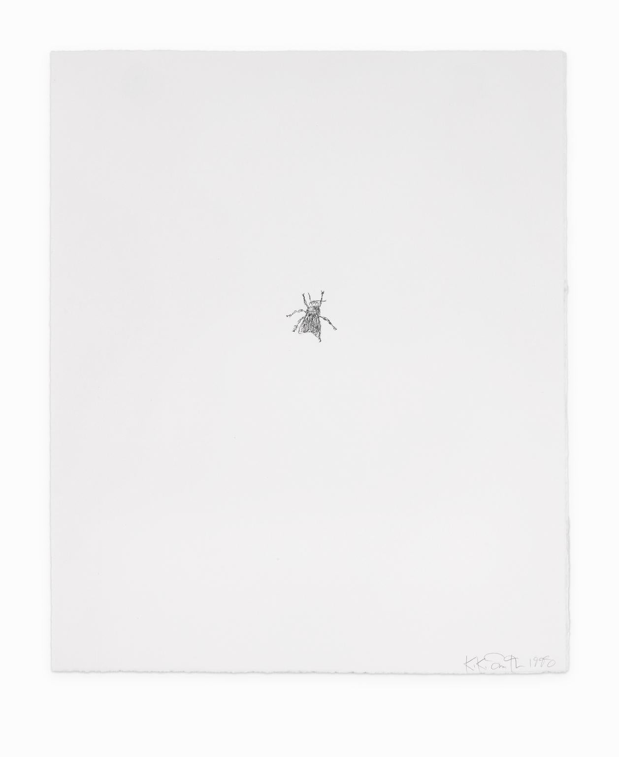 Kiki Smith Lithographie/Collage Various Flying Creatures „fly“ Signiert datiert im Angebot 3