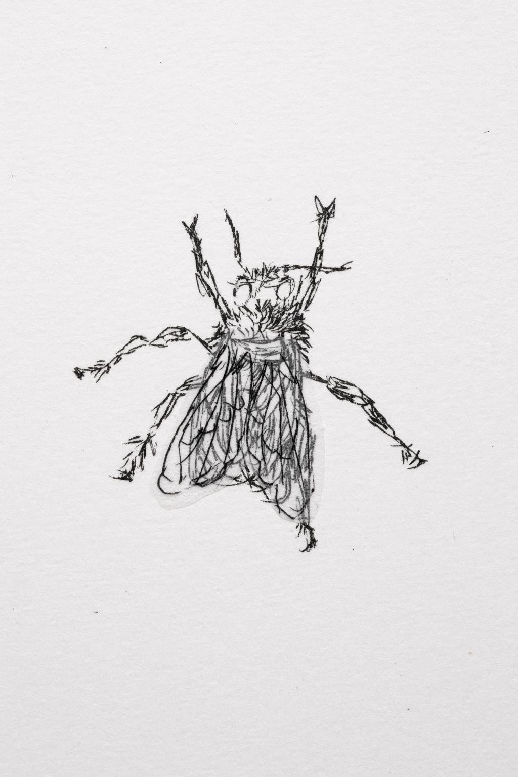 Eine Collage-Lithographie aus der Serie Various Flying Creatures von Kiki Smith mit dem Titel: "fly". Smith hat eine ihrer ikonischen Tier-/Insektenfiguren für diese Collage aus Pergaminpapier und Büttenpapier verwendet, wodurch die Fliege fast
