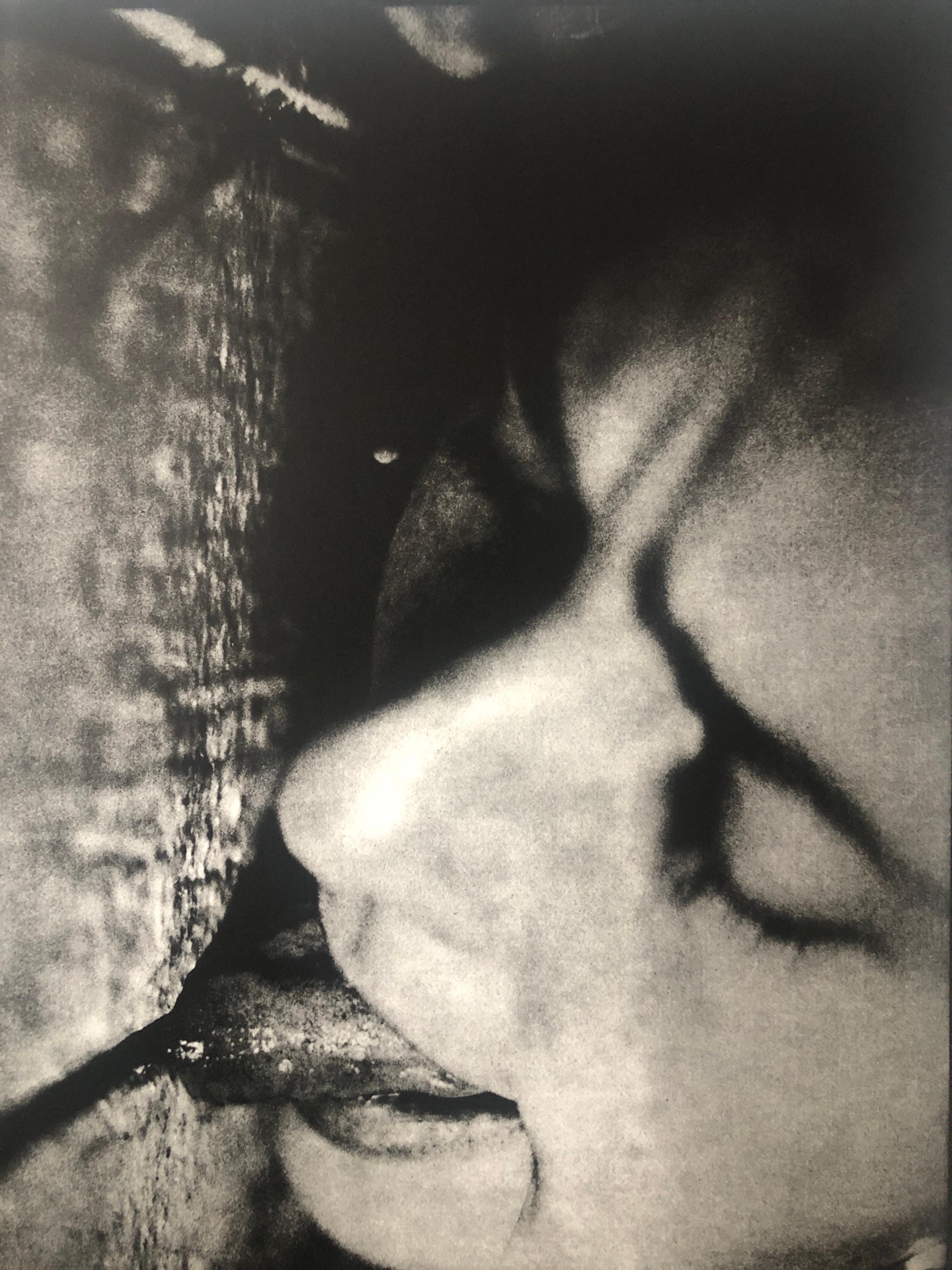 Kiki Smith Fotografía litografía offset 