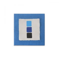 SERIE SHIZEN V