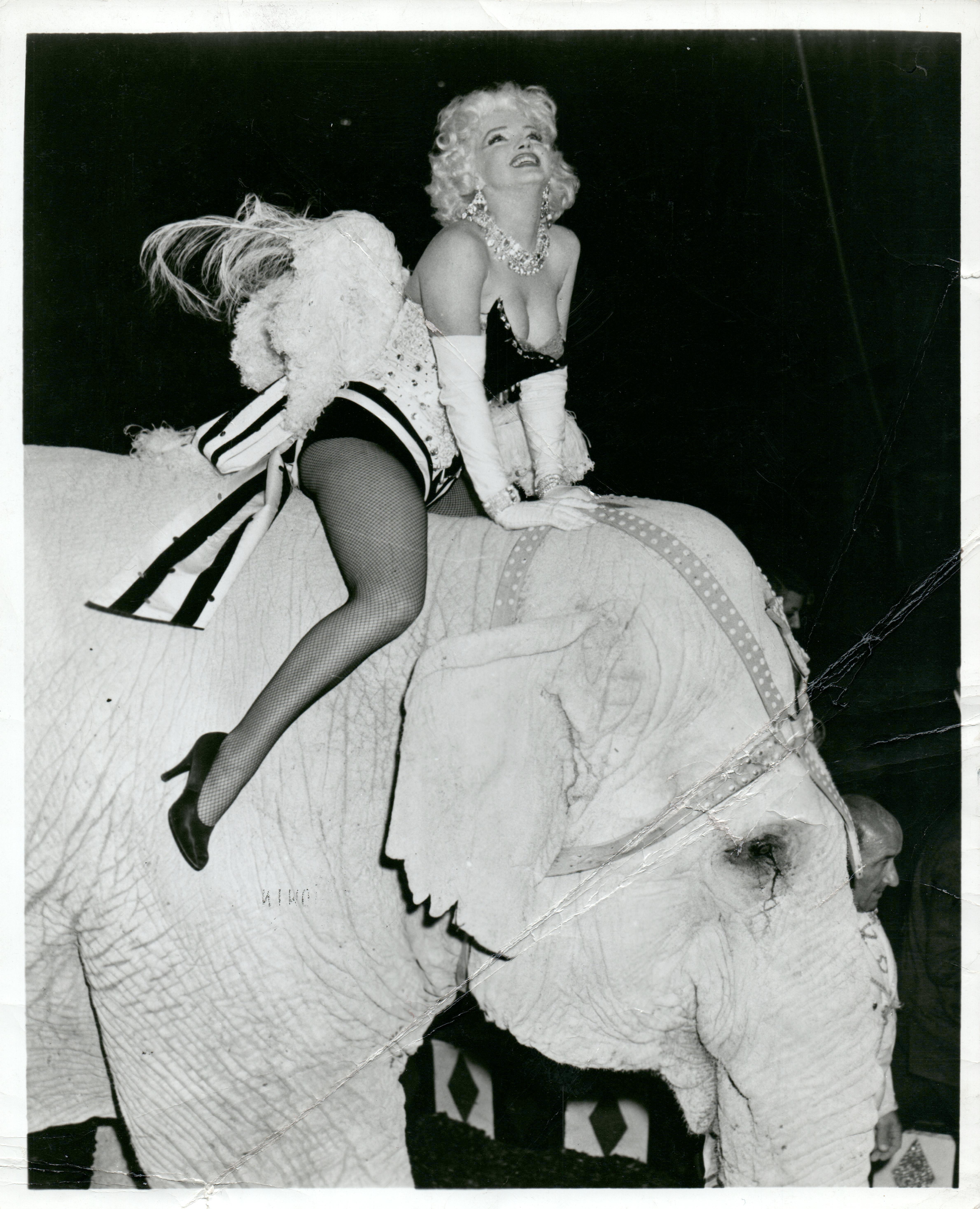Black and White Photograph di Kim Goodwin - Marilyn Monroe a cavallo di un elefante Stampa d'epoca