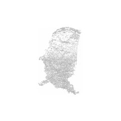 America West, Tinta sobre papel impreso, 2015