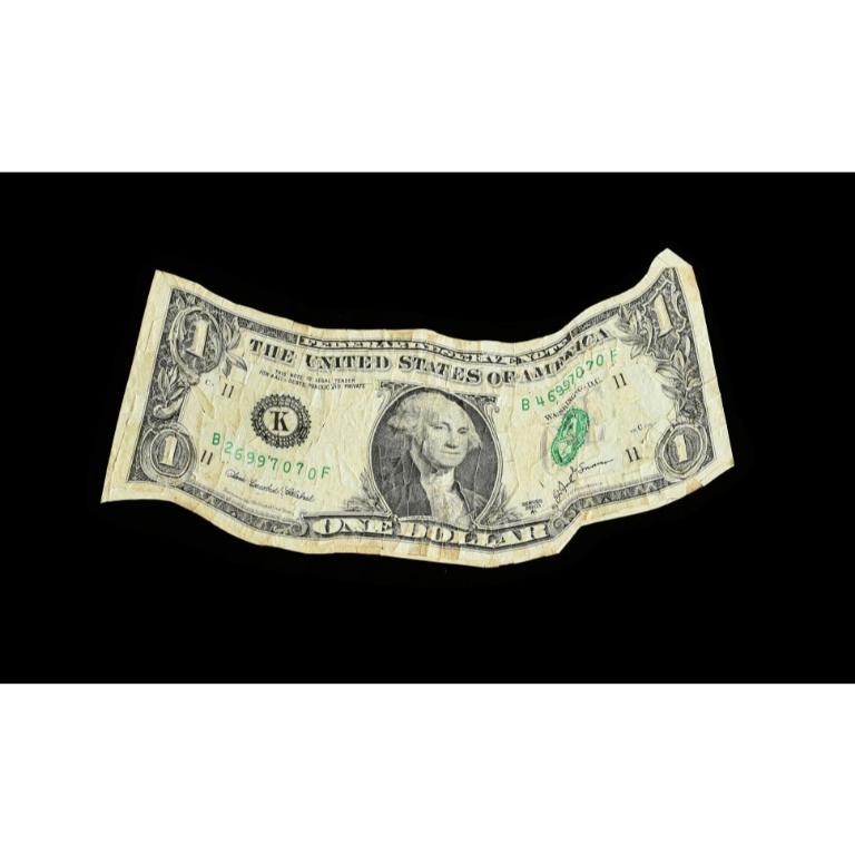 Bent Dollar, Dollar Bill, 2007 - Mixed Media Art by Kim Rugg