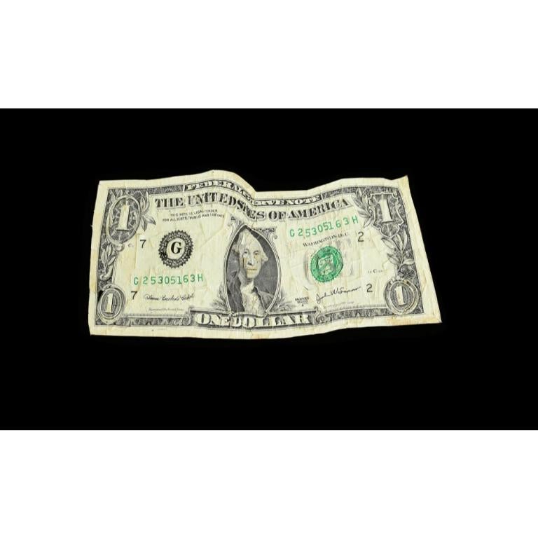 Créé Dollar Bill, 2007 - Mixed Media Art de Kim Rugg