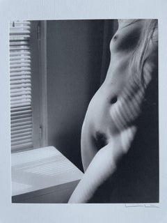 Phoenix Nude 4, Torso With Blinds