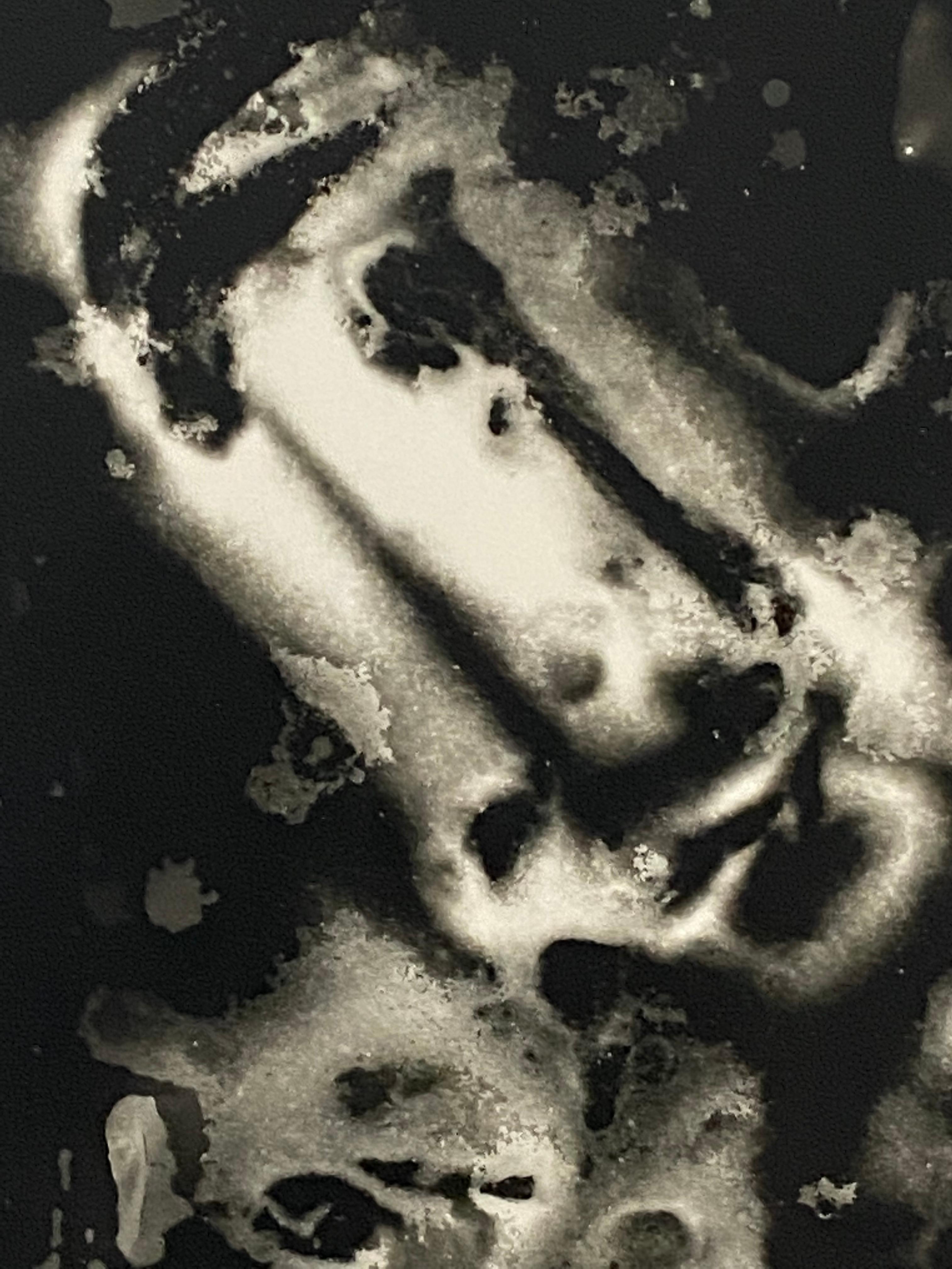 A Glimpse of Sunlight - contemporary silver gelatin black-and-white alt process - Abstract Photograph by Kimberly Schneider Photography