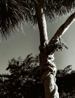 Le début de la fin - photographie de paysage en noir et blanc à la gélatine argentée