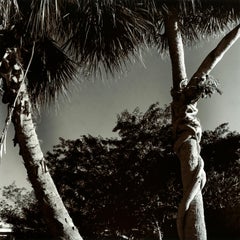 Le début de la fin - photographie de paysage en noir et blanc à la gélatine argentée