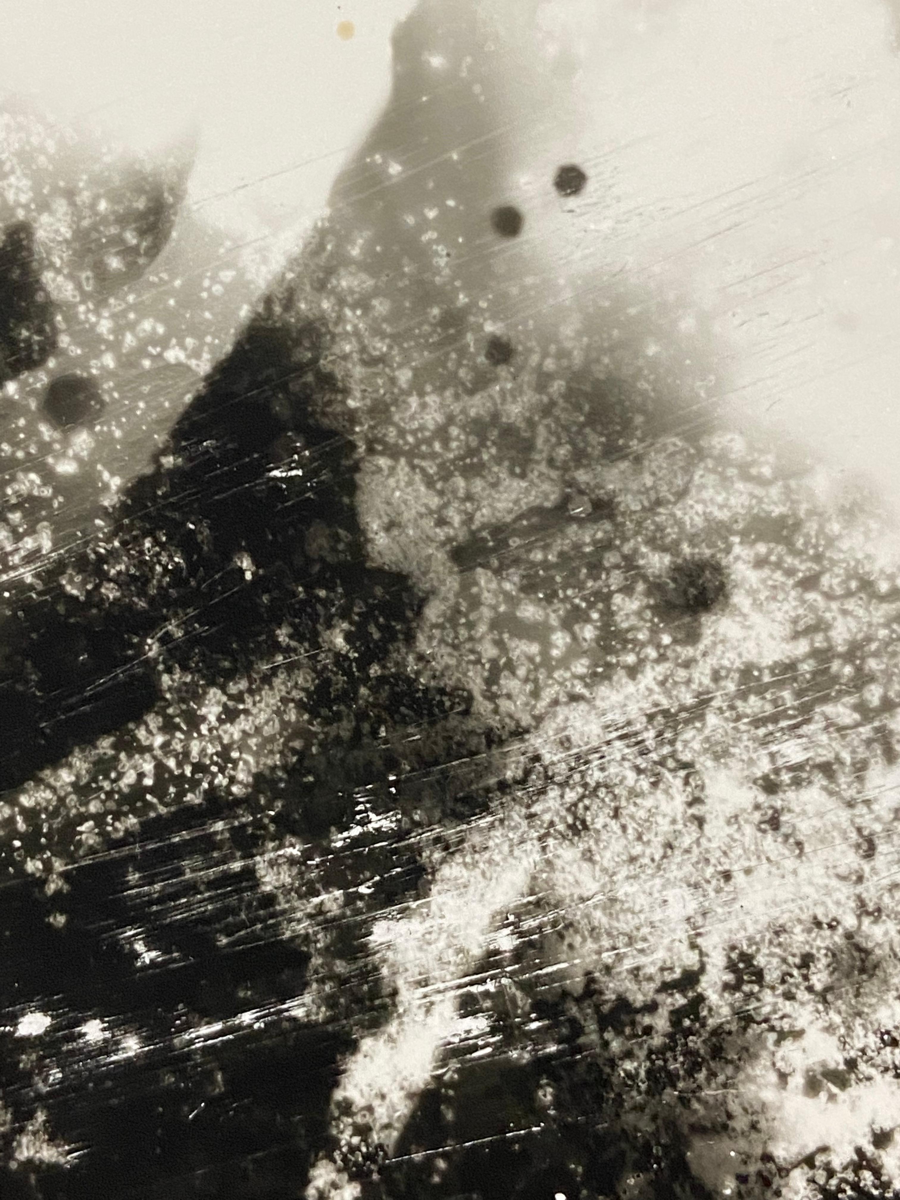 Scorched (aka Bleached Sunlight #2), photographie abstraite contemporaine b&w en vente 3