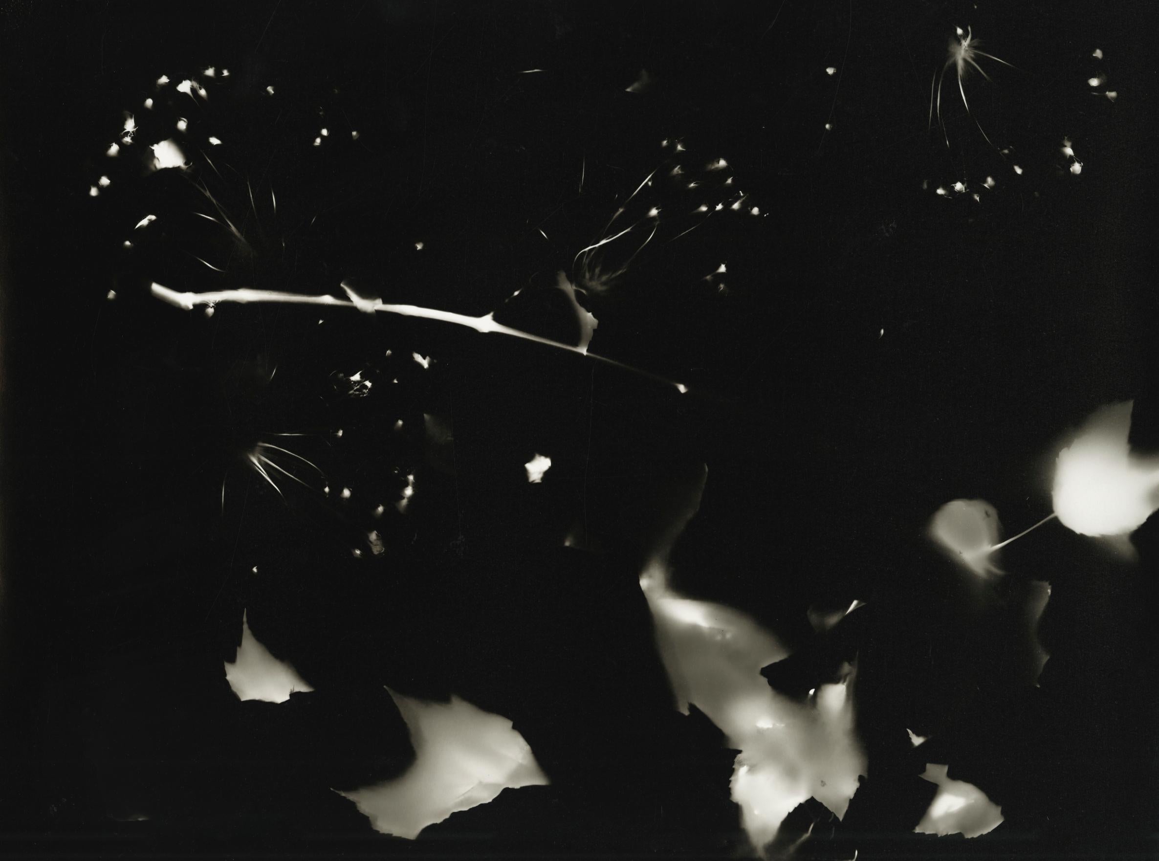 Kimberly Schneider Photography Abstract Photograph - Broken Wings - contemporary black and white abstract alt process photograph