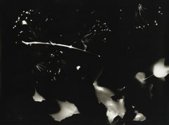Broken Wings - photographie abstraite contemporaine en noir et blanc au procédé alt