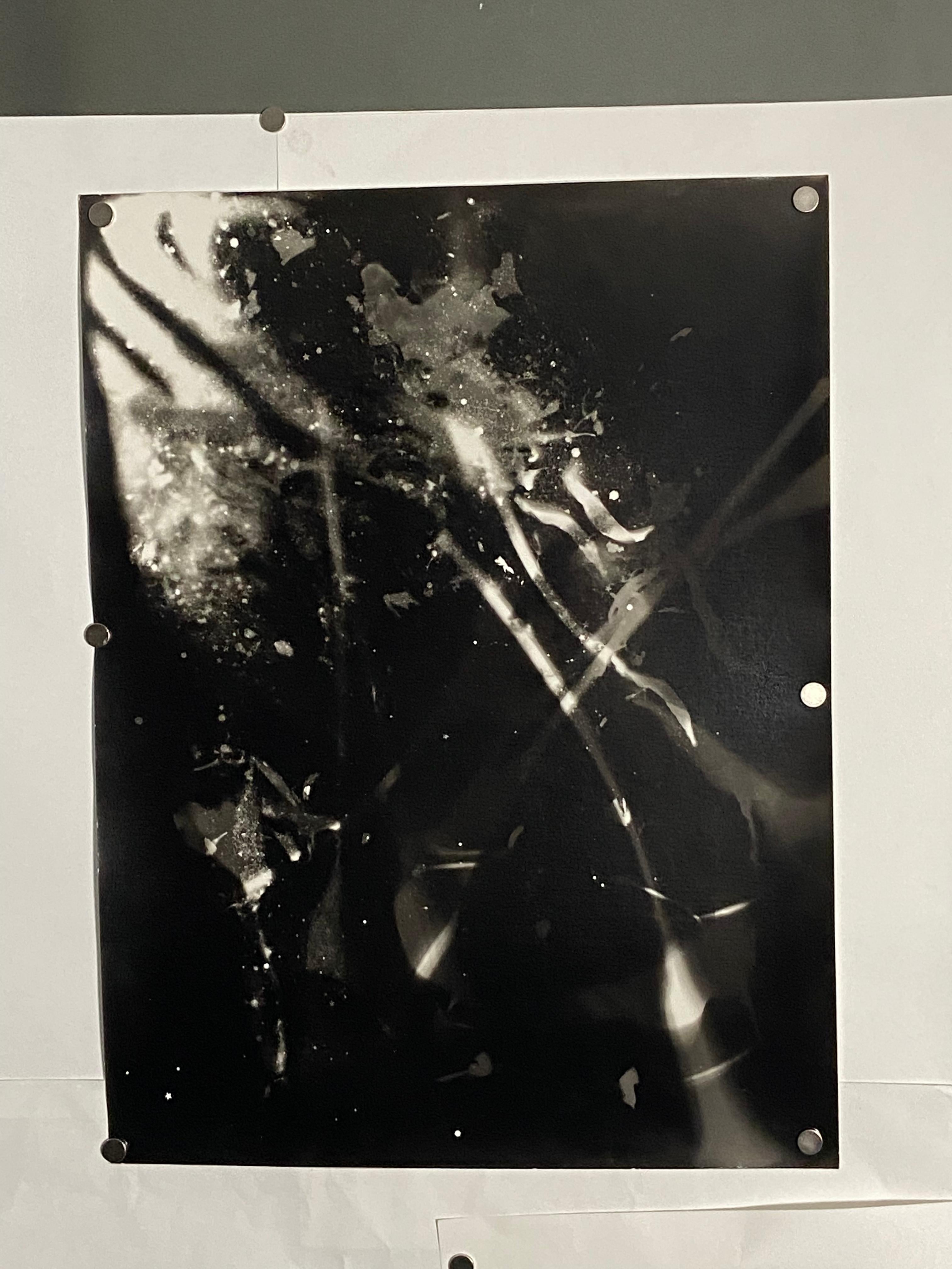 Dancing in the Dark - unique abstract contemporary silver gelatin b&w photogram - Photograph by Kimberly Schneider Photography