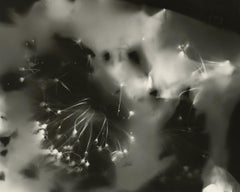Dancing Sumo - sparkler-o-gram silver gelatin unique contemporary b&w photogram
