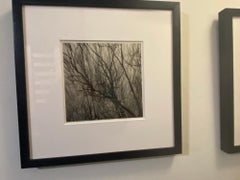 Entanglement #1 (The Embrace) - FRAMED black &white contemporary film photograph
