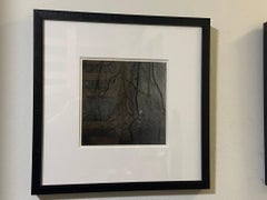Entanglement #2- contemporary black and white film landscape photograph