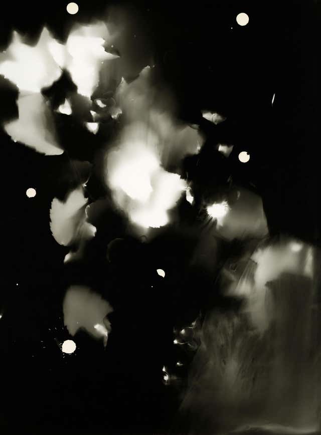 Kimberly Schneider Photography - Rosewater - unique contemporary flower ...